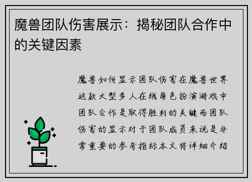 魔兽团队伤害展示：揭秘团队合作中的关键因素